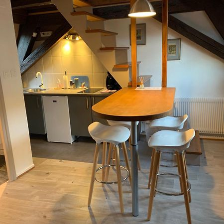 Appartement Duplex 2A Rue D'Alspach Colmar Exterior foto